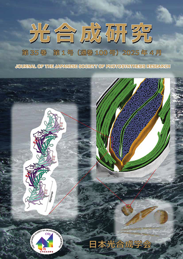 光合成研究100号