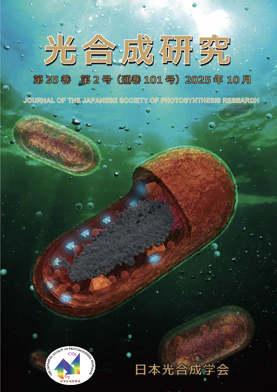 光合成研究101号
