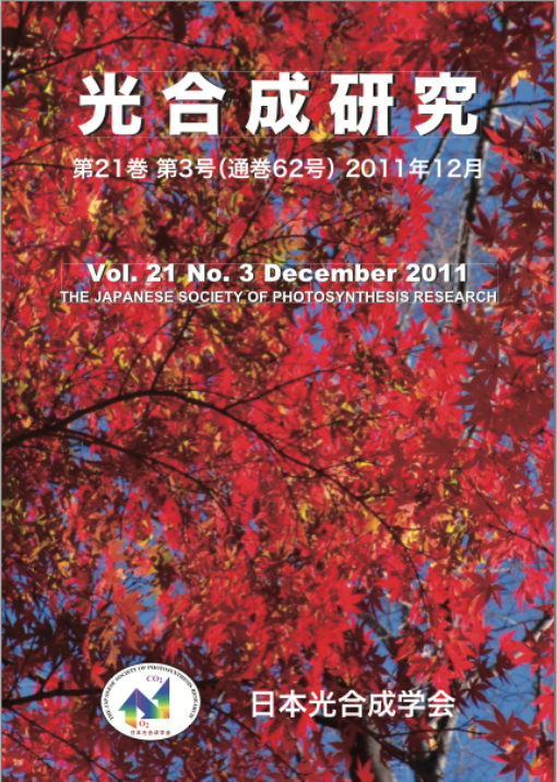 光合成研究62号