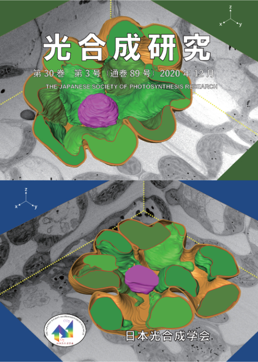 光合成研究89号