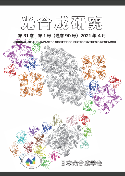 光合成研究90号