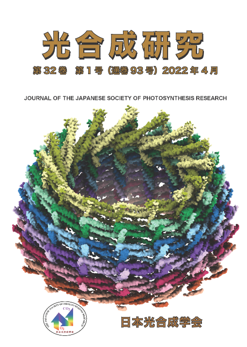 光合成研究93号