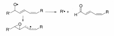 lipid alkoxyl radical.png